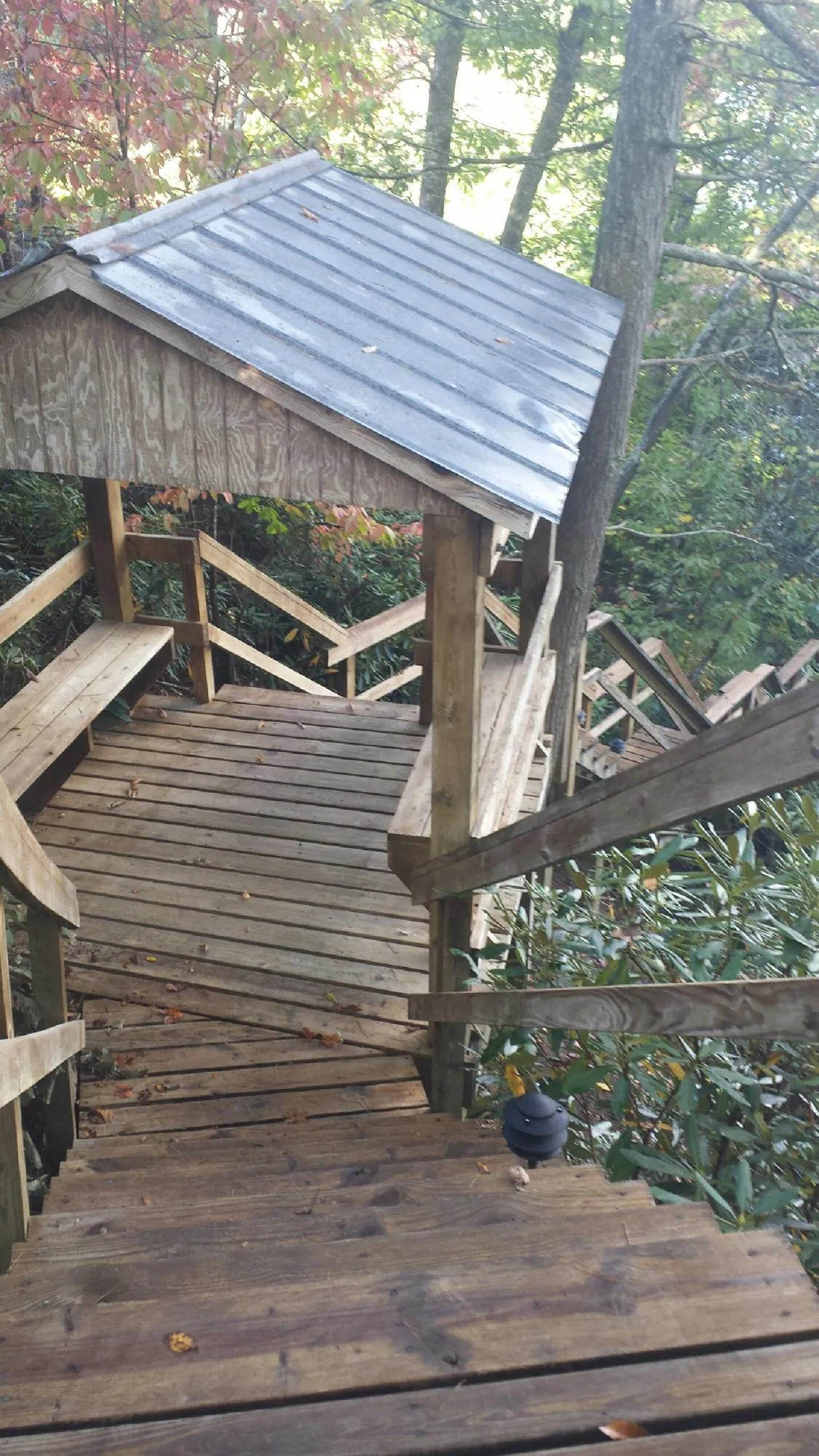 Metal roofed shelter over wooden steps on a wooded walkway — Skylight Repair & Installation work by our crew in Bellerose